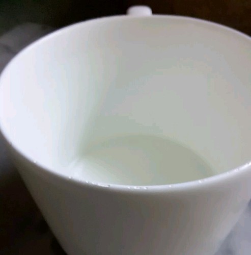Dibbern White Fine Bone China Flat Coffee Mug Zylindrisch 14 Germany 10oz - Picture 9 of 9