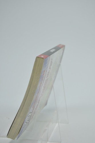 Superfan a WWE Novel by Jeff Gottesfeld - Picture 7 of 8
