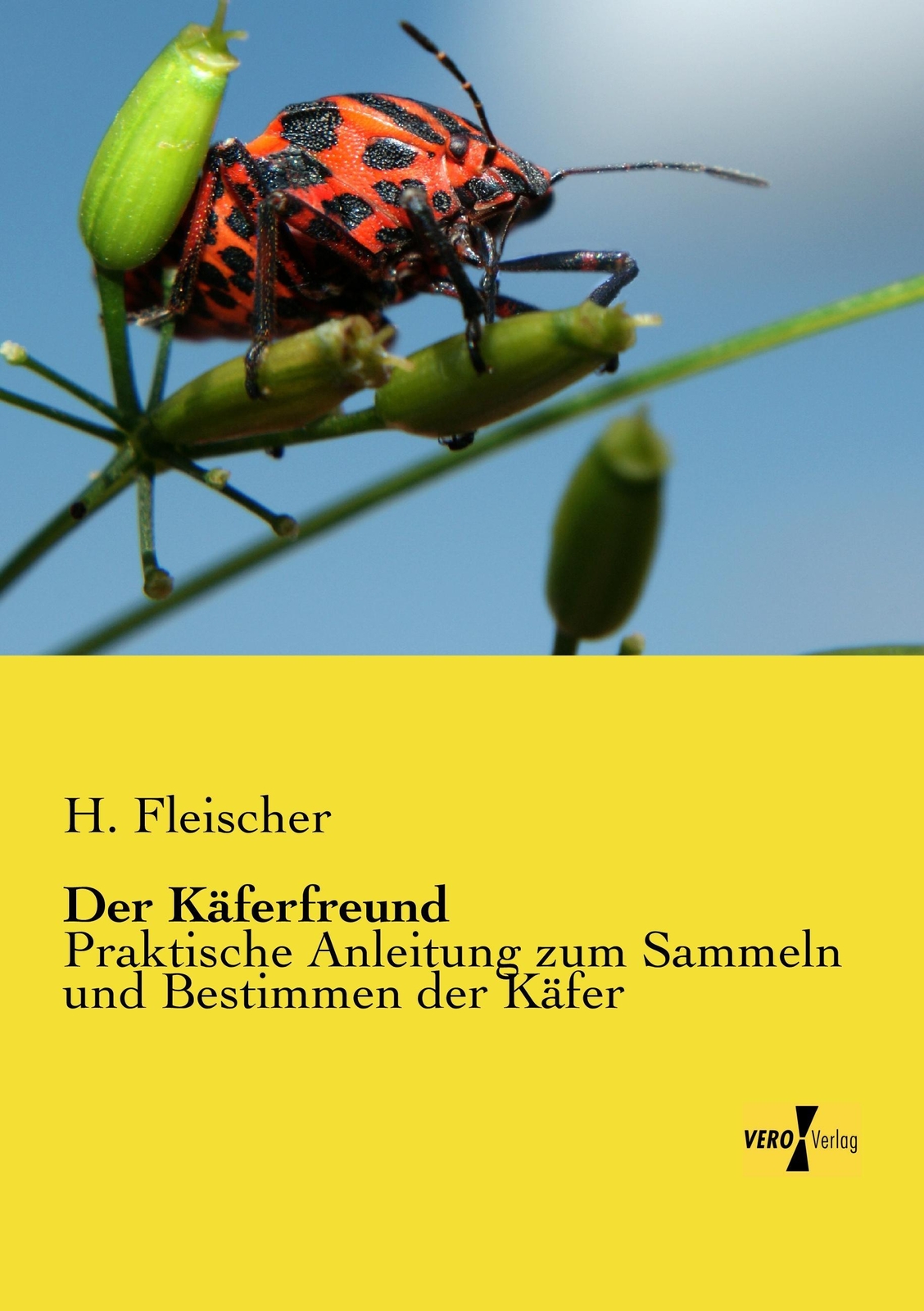 Thumbnail - H. Fleischer | Der Käferfreund | Taschenbuch | Deutsch (2019) |
