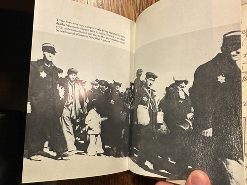Diary of Dawid Rubinowicz by Derek Bowman 1982 HC/DJ JEWISH HOLOCAUST CHILDREN'S - 第 10/10 張圖片