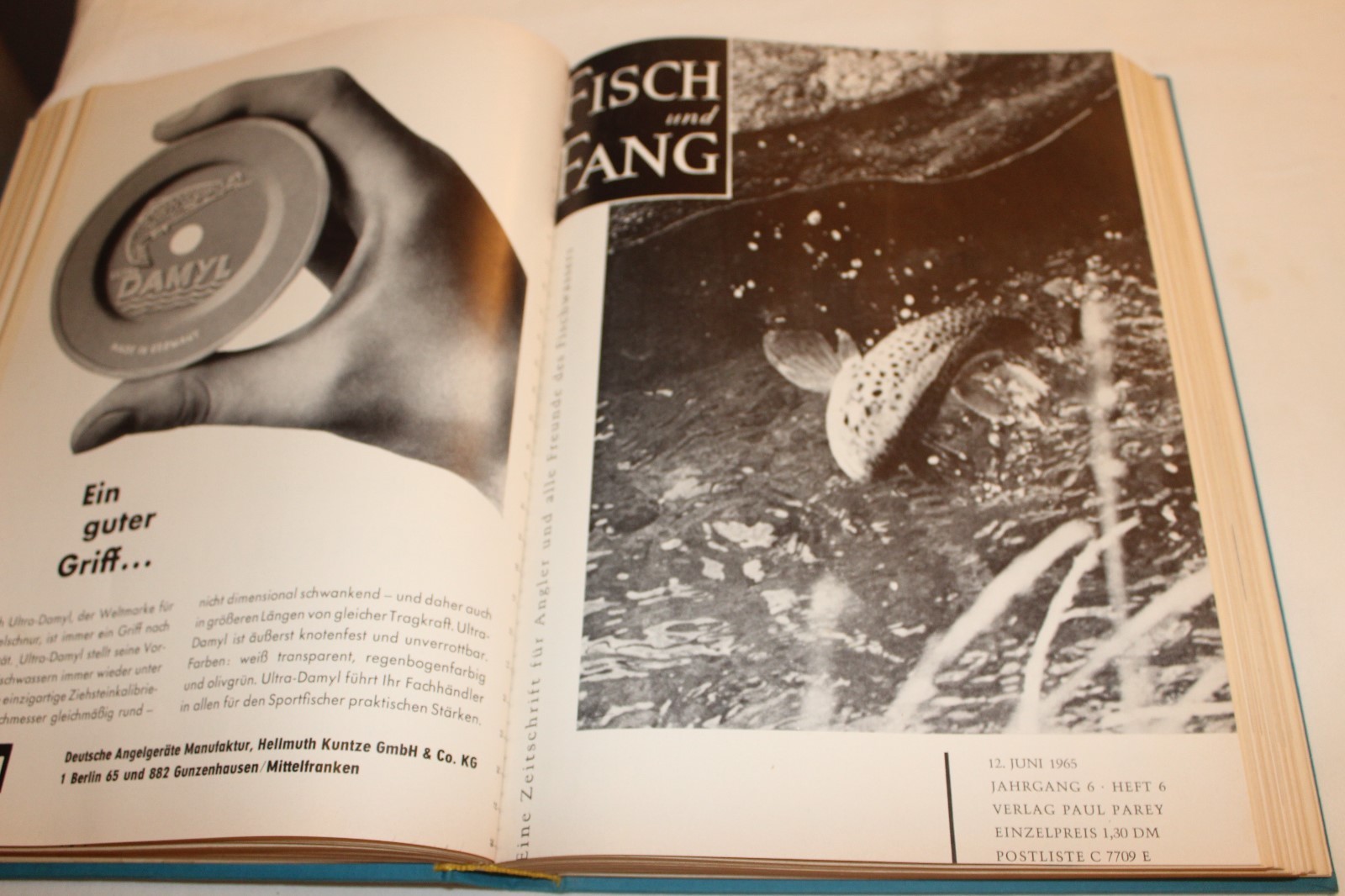 Bild 7 von 12