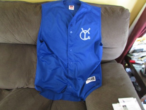 Blue sleeveless baseball/softball jersey