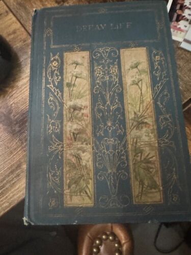 Rare Antique Henry Altemus Hardcover Copy Of The Dream Life By Donald Mitchell
