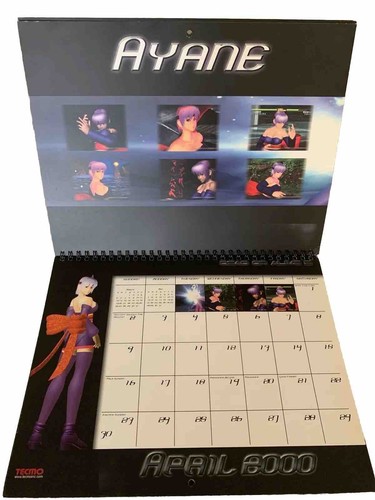 Dead or Alive 2 Tecmo 2000 DOA2 Calendario De Colección Sega Dreamcast Retro Promo RARO - Imagen 4 de 24