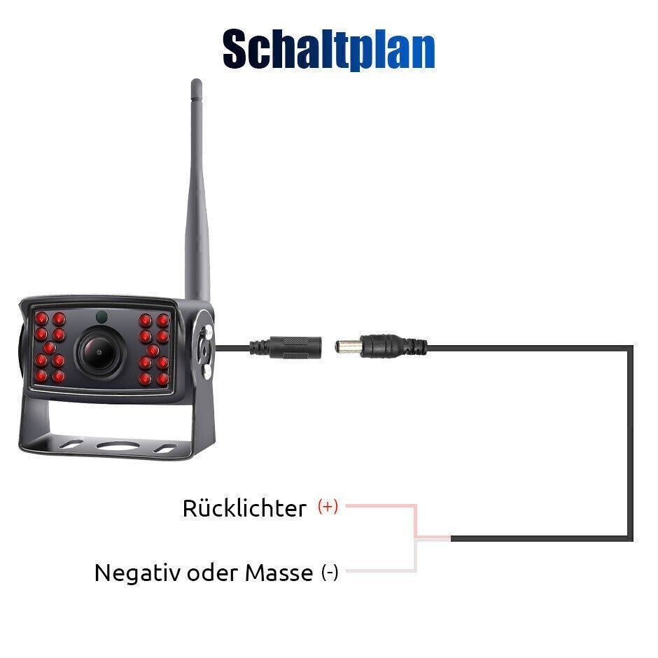 Bild 11 von 12