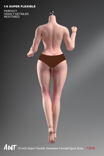 ANT 1/6 T307 Pale Skin Fitness Plump muscle Bust Girl Female Action Figure Body - Picture 21 of 22