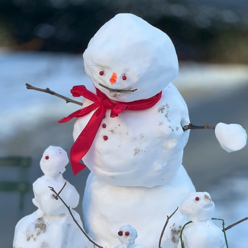  100 Stück Schneemann Karotten Nase: Kunststoff Schneemann Nase für DIY Weihnachtsdeko - Bild 2 von 12