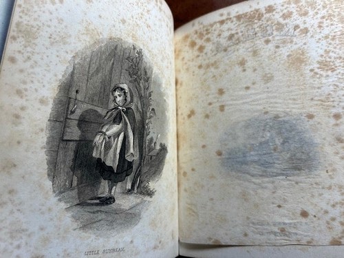 Sunbeam Album / 1861-1863 New England Memory Album of Angie Whitcomb Americana - Imagen 2 de 9