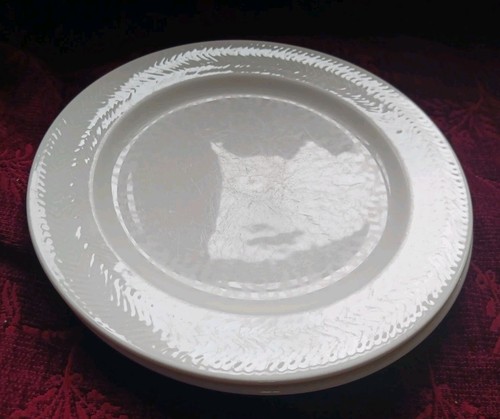 Platos de ensalada Villeroy & Boch HOTEL LOOK* - Juego/4 *Mostrar desgaste superficial* Envío gratuito - Imagen 6 de 10