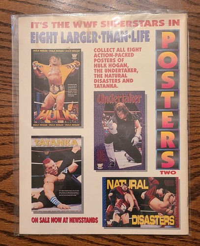 WWF Magazine 1991 1992 Lot - Hulk, Macho Man, Jake the Snake, Sid Justice, Flair - Picture 13 of 13