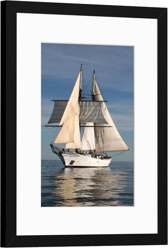 12X16 Picture Frame Display Pictures 8.5X11 with Mat or 12 X 16 without Mat for - Picture 2 of 7