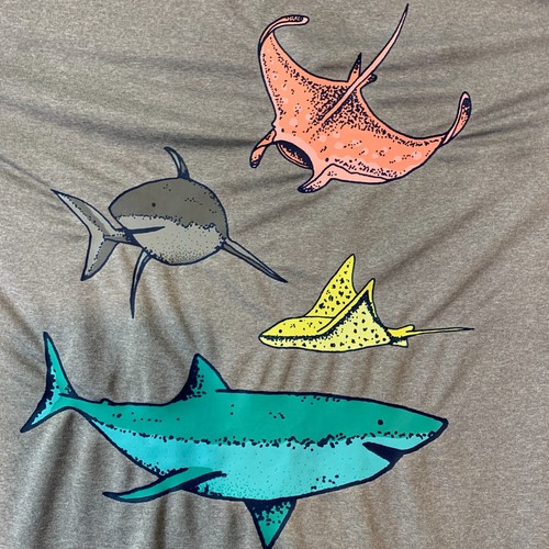 Cat & Jack Shark and Stingray T-Shirt  Boys Gray Grey Size Fishing XL (16) - Picture 4 of 11