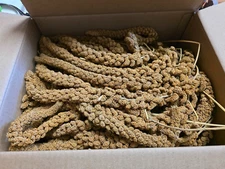 FRENCH MILLET FOR BIRDS 5LBS OR 25LBS