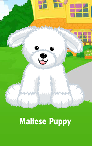 Maltese Puppy (2015, HM792) webkinz VIRTUAL unused new adoption code