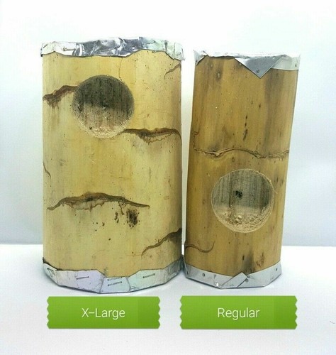 Wooden Bird Breeding Nest Box Parakeet Budgie Cockatiel Nesting Window S M L - Picture 18 of 19