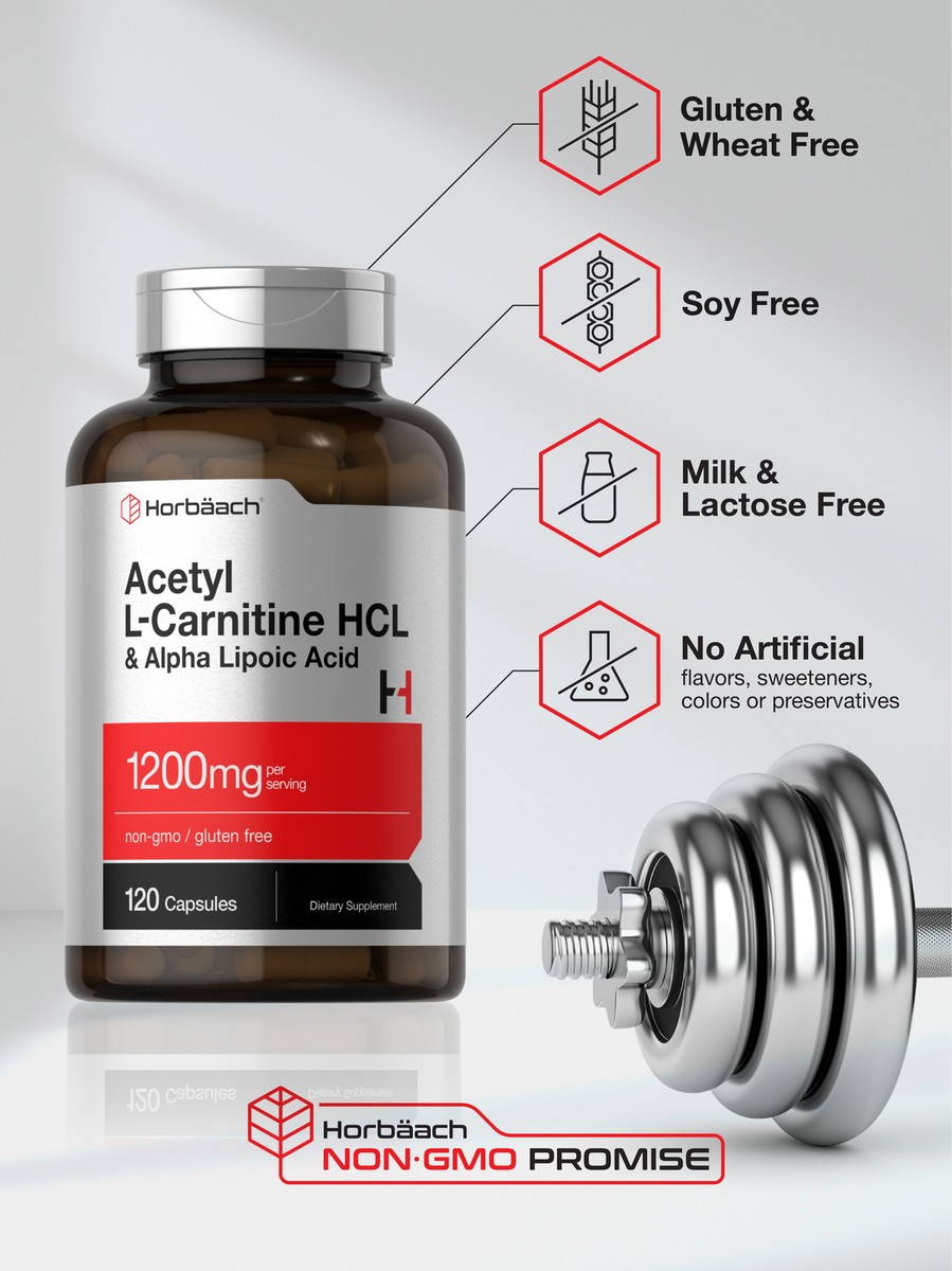 Acetyl L Carnitine HCL & Alpha Lipoic Acid 1200mg | 120 Capsules | by  Horbaach | eBay