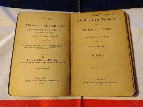 Walther von der Vogelweide und des Minnesangs Frühling 1920 nur 100 Jahre alt - Bild 4 von 12