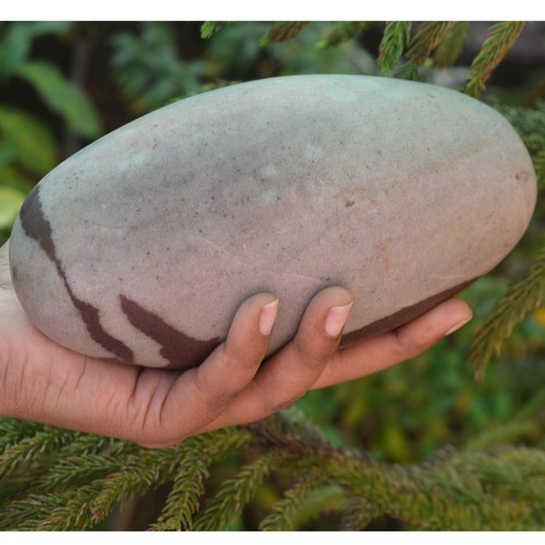 6"In Narmadeshwer Narmada Shivling Pooja Gift Spiritual Narmada River Stone-168 - Picture 3 of 5