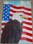 thumbnail 5  - American Eagle Standard Art House Flag by Toland #907 24&#034;x36&#034;