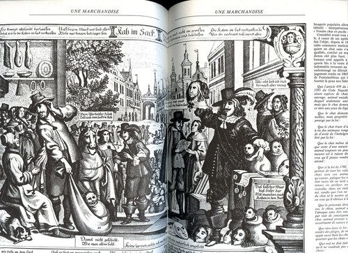 Bibliothèque illustrée du CHAT Juliette Raabe 2 Volumes - Picture 3 of 12