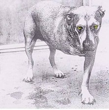 【中古】 be　yourself/ＣＤ/NOT-0019 Audioslave – Be Yourself – CD (Cardboard Sleeve, Single