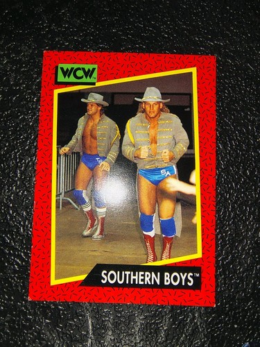 1991 Impel WCW - Tracy Smothers, Steve Armstrong, Southern Boys #136 (RC) - Bild 1 von 2