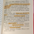 Foto 6 di 8