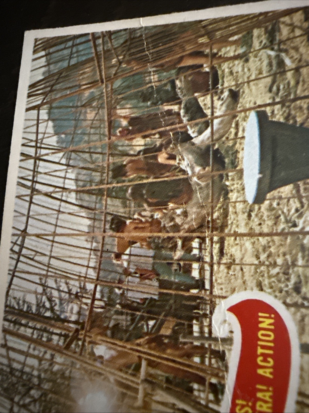 Foto 12 di 13