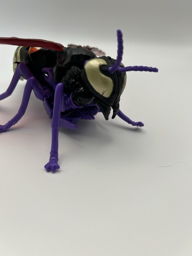 Transformers Skywasp Waspinator Deluxe Hasbro *See Shipping Note* - Picture 3 of 7