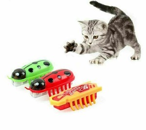 hexbug toy