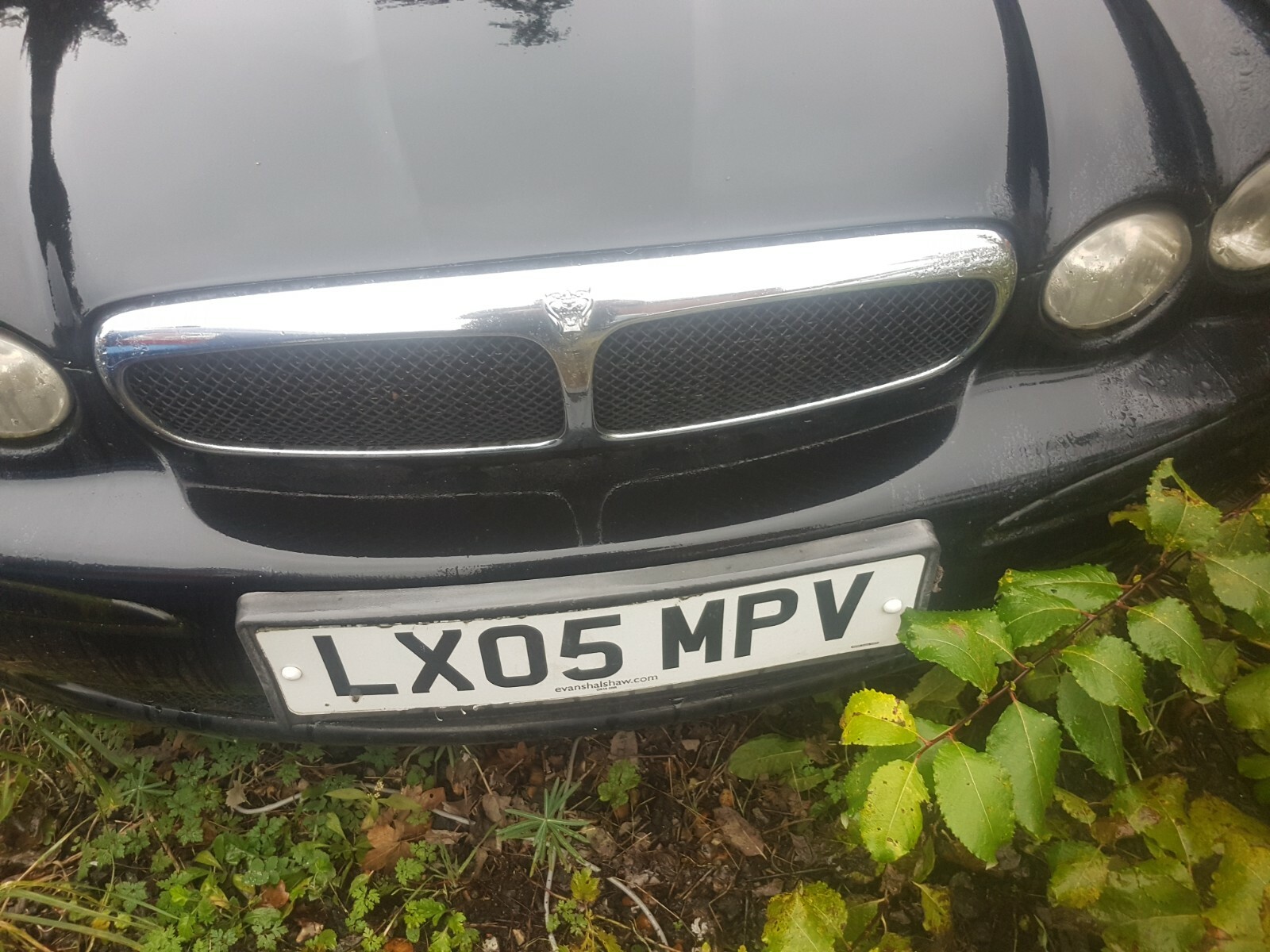 Jaguar X Type Interior Lights and alarm eBay