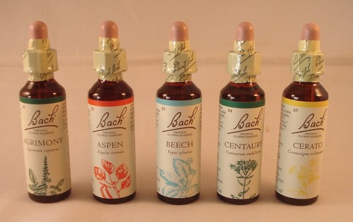 Bach Flower Remedies, Chicory 20ml. BBE 03/2026 - Picture 2 of 8