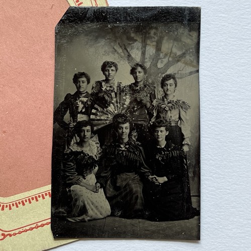 Antique Tintype Photograph Beautiful Young Women Teens Affectionate Ferns & Fan - Picture 5 of 18