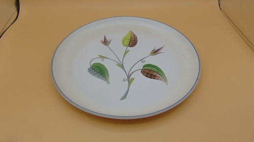 DENBY STONEWARE DINNER PLATE SPRING PATTERN 10 1/8" ENGLAND - Picture 3 of 6