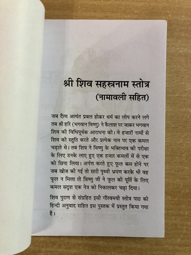Lord Shivas 1000 nombres SHRI SHIV Sahastranam Stotram Libro Randhir Publicat... - Imagen 2 de 7