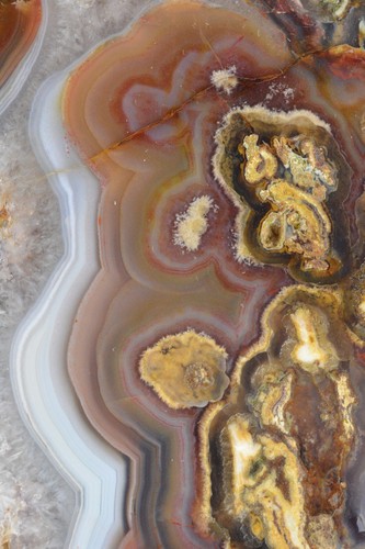 Huge Agate Nodule, Casa Grande, Mexico, Polished - Picture 5 of 9