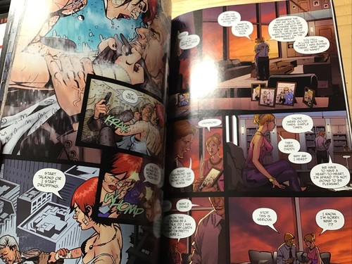 Painkiller Jane: The 22 Brides - Paperback By Palmiotti, Jimmy - NM - Picture 5 of 6