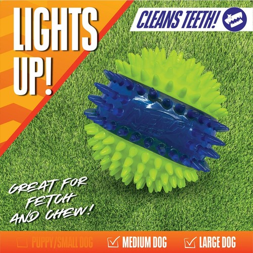 Nerf Dog LED Light Up Dental Spikes Squeak Ball Dog Toy, 2.7 inches - Picture 2 of 3