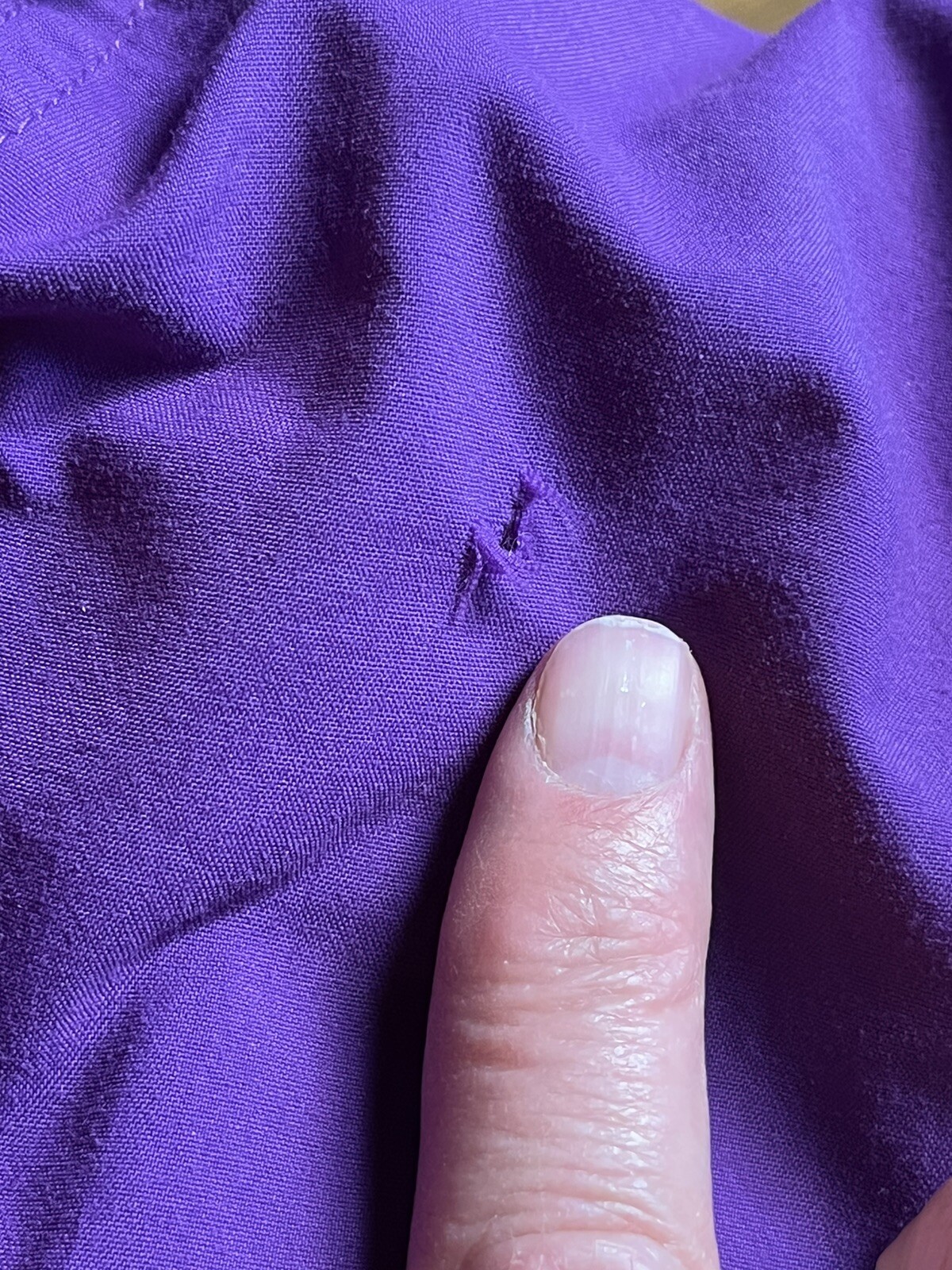 Picture 16 of 19