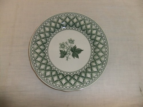 c4 Porcelain Spode Green Geranium (microondas, lavavajillas apto) ÚLTIMOS ARTÍCULOS - R6 - Imagen 12 de 36