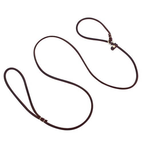 Slip Leads for Small Dogs Thin Leather 4ft/5ft Pet Puppy Walking Leash Brown Red - Picture 2 of 10