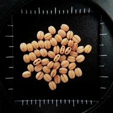 10pcs/lot Boxwood Single Block Pulley Ancient Sailing Ship Model Kit Accessories