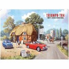 Triumph TR4 Car design metal sign 30cm x 40cm