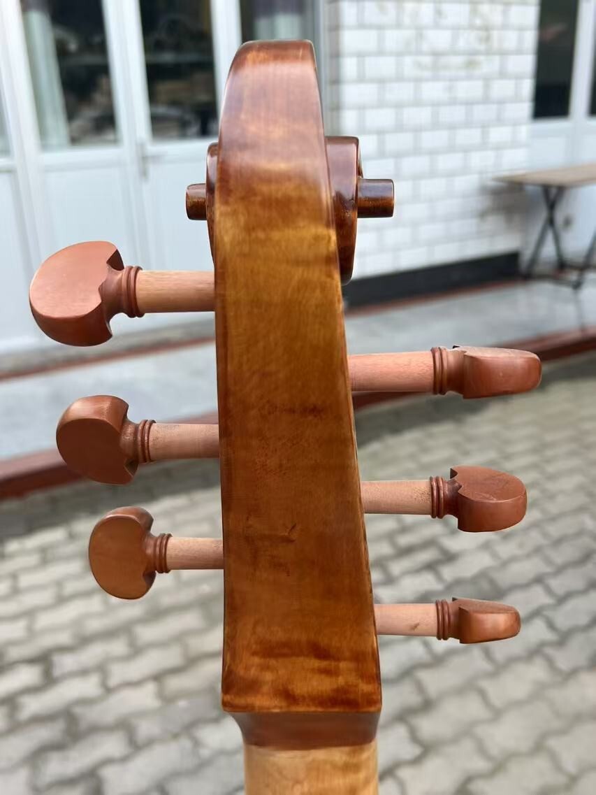 Foto 11 di 12