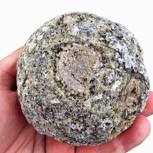 Random Pull Solid Coconut Geode Rough Solid Thunder Eggs - Bild 4 von 12