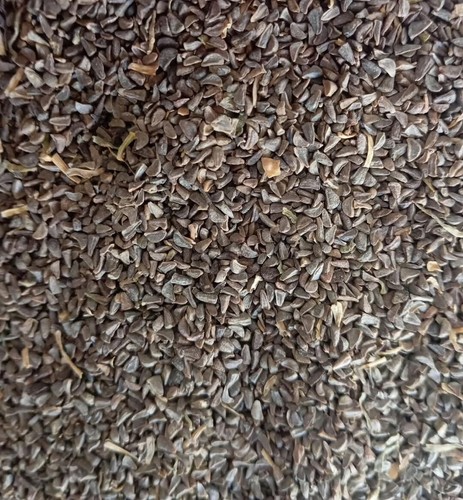 Harmala Samen 1,8 kg - Peganum Harmal, Lahouri Wild 4 lbs, Isband Hindi - حرمل - Bild 4 von 10