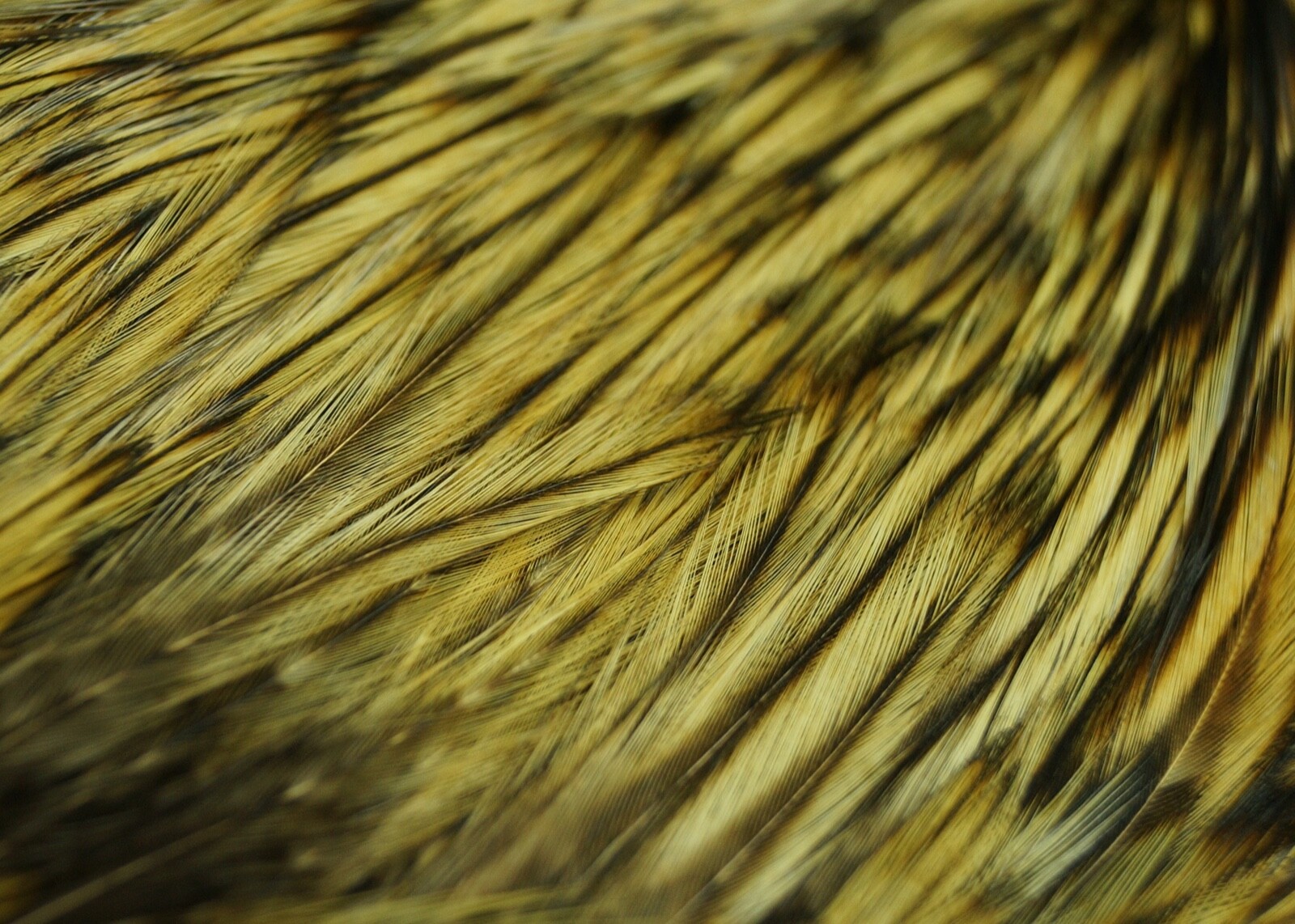 Picture 6 of 6