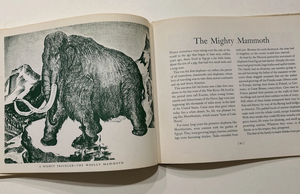 ANCIENT ANIMALS OF AMERICA by IRENE & W W Robinson VINTAGE DINO HARDCOVER 1962 - Image 3 of 4