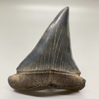 Picture 1 of 6