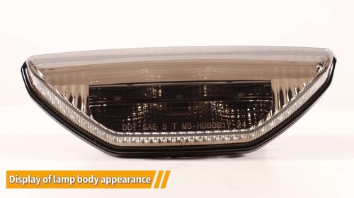 Brake LED Tail light Brake Lamp For Honda TRX250EX TRX250TE TRX300EX 400EX ATV - Video 1 von 1